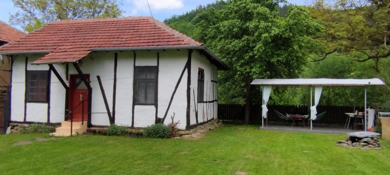 Villa Глинената Къща В Дълги Дел à Dŭlgi Del Extérieur photo